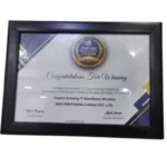DT Partner Excellence Award