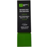 Nvidia Beyond Fast GPU Partner Award