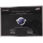 Western Digital Award April 2023-March 2024